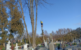 IMG_20220228_095511