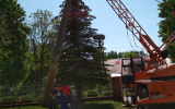 IMG_20180504_130208