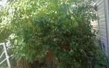WhatsApp-Image-2026-07-24-at-20.12.27-4