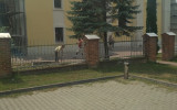 IMG_20190713_121510