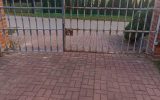 1765570217143-scaled