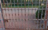 1765570217147-scaled