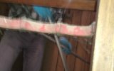 IMG_20200417_122701