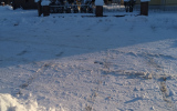IMG_20210131_152041
